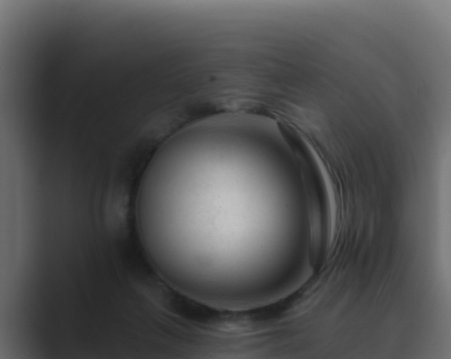 X0000089680263200706281403