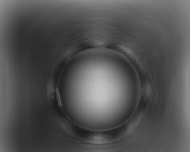 X0000089680264200706281403