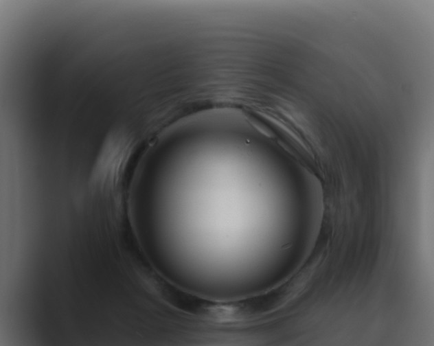 X0000089680265200706281403