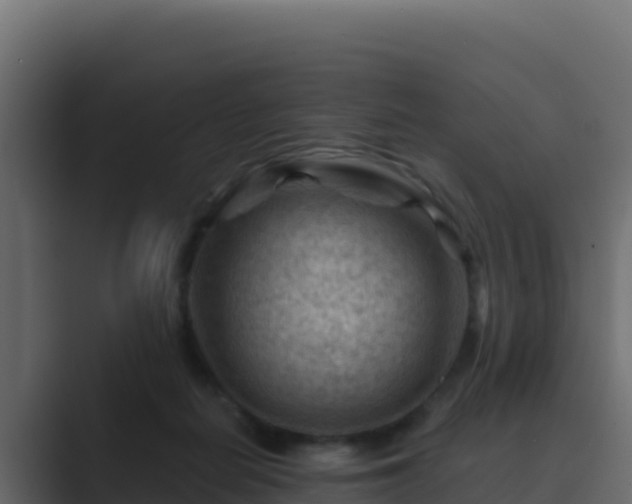 X0000089680266200706281403