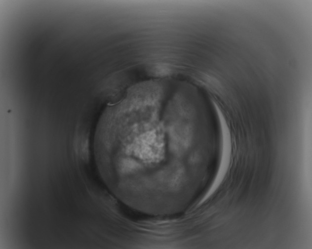 X0000089680267200706281403