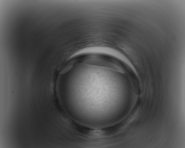 X0000089680269200706281403