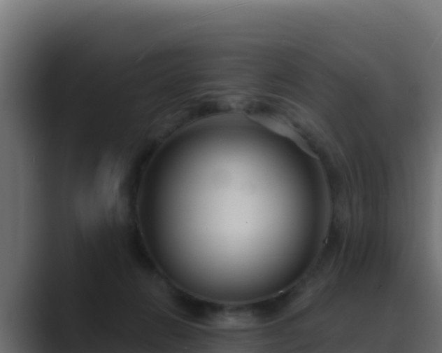 X0000089680270200706281403