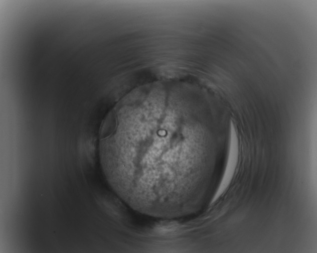 X0000089680271200706281403