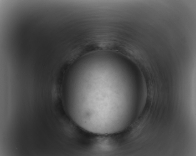 X0000089680272200706281403