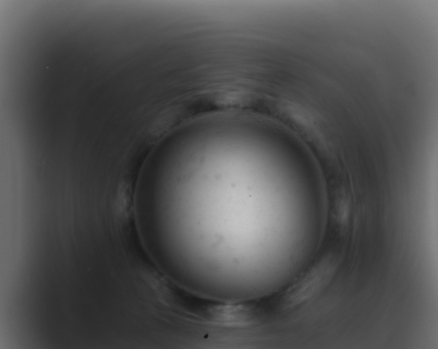 X0000089680273200706281403