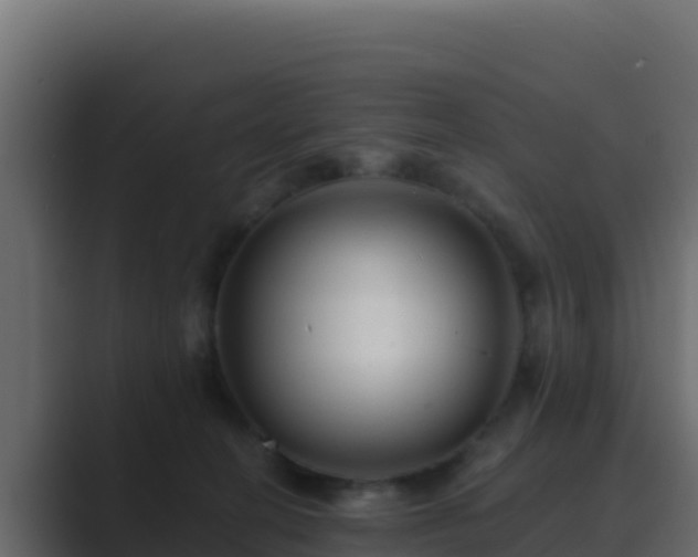 X0000089680274200706281403