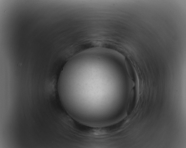 X0000089680275200706281403