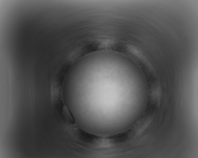 X0000089680276200706281403