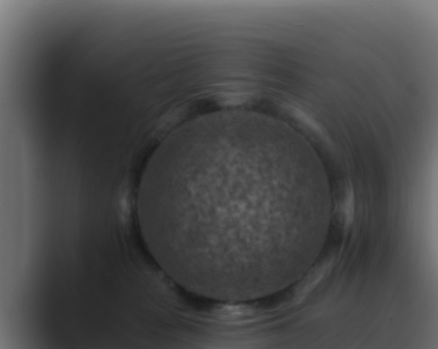 X0000089680277200706281403