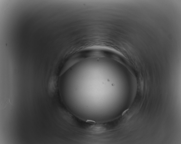 X0000089680280200706281403