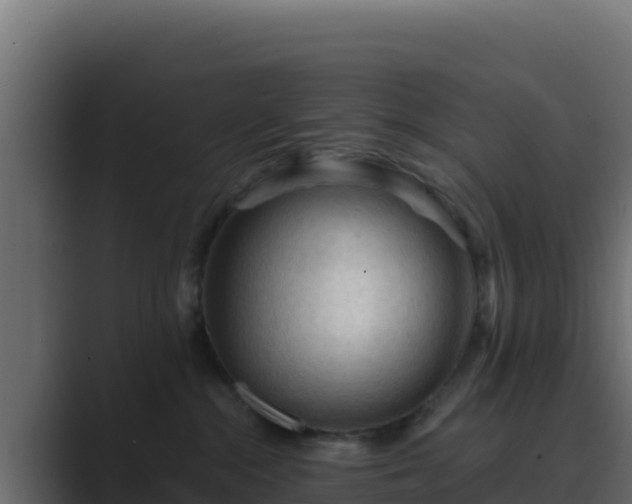 X0000089680284200706281403