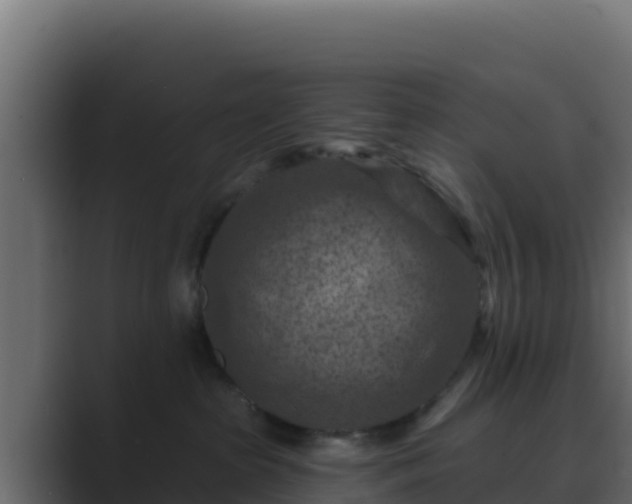 X0000089680285200706281403