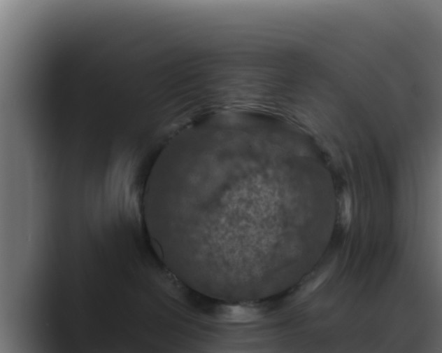 X0000089680286200706281403