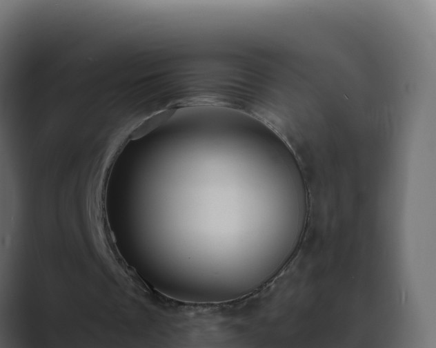 X0000089680289200706281403