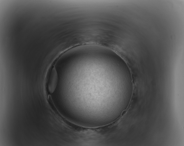X0000089680290200706281403
