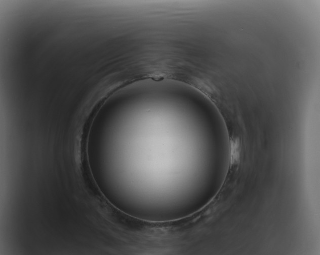X0000089680291200706281403