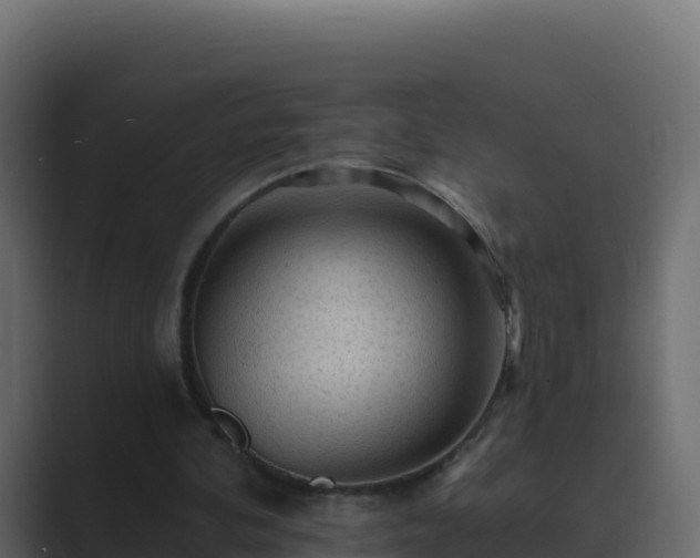 X0000089680292200706281403