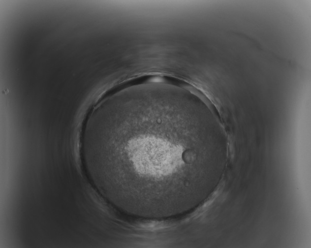 X0000089680293200706281403