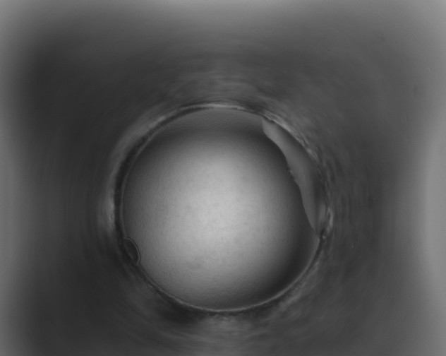 X0000089680294200706281403