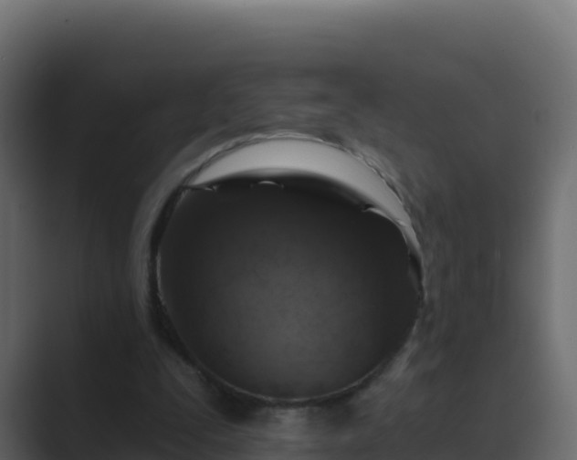 X0000089680295200706281403