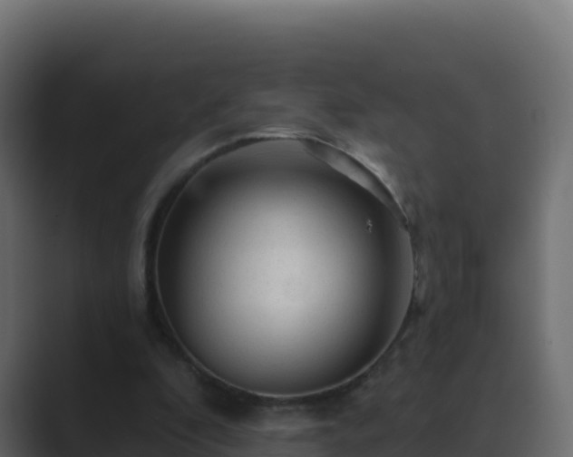 X0000089680296200706281403