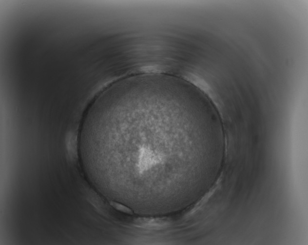 X0000089680297200706281403