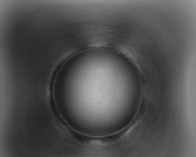 X0000089680298200706281403