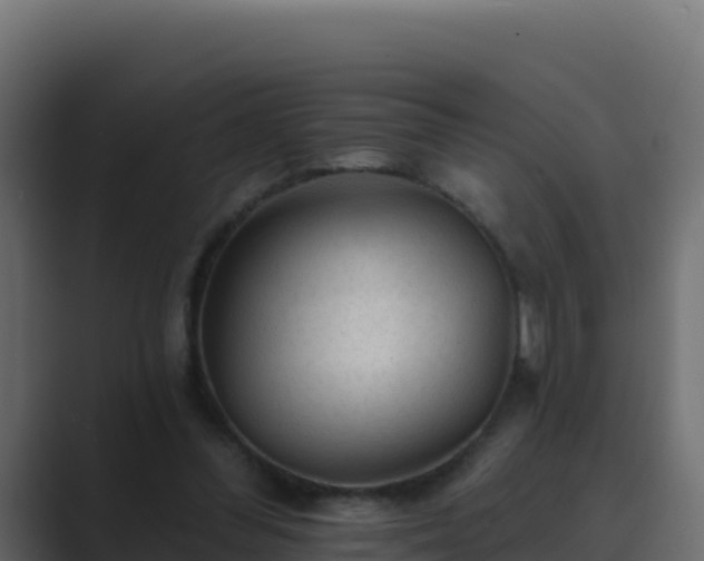X0000089680300200706281403
