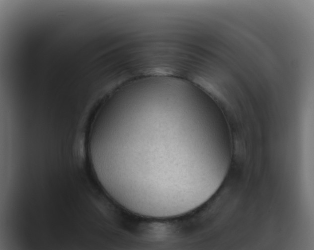 X0000089680302200706281403