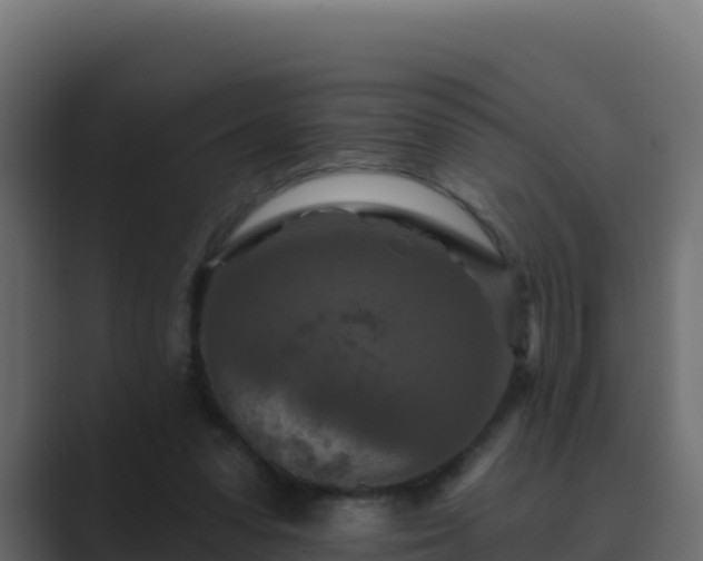 X0000089680303200706281402