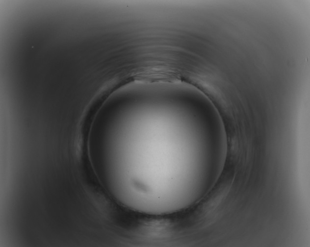 X0000089680304200706281402