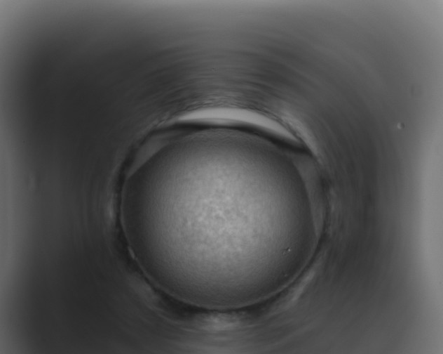 X0000089680305200706281402