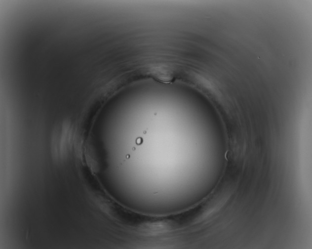 X0000089680307200706281402