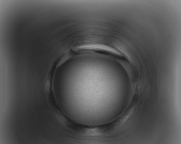 X0000089680309200706281402