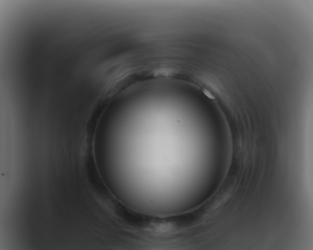 X0000089680311200706281402