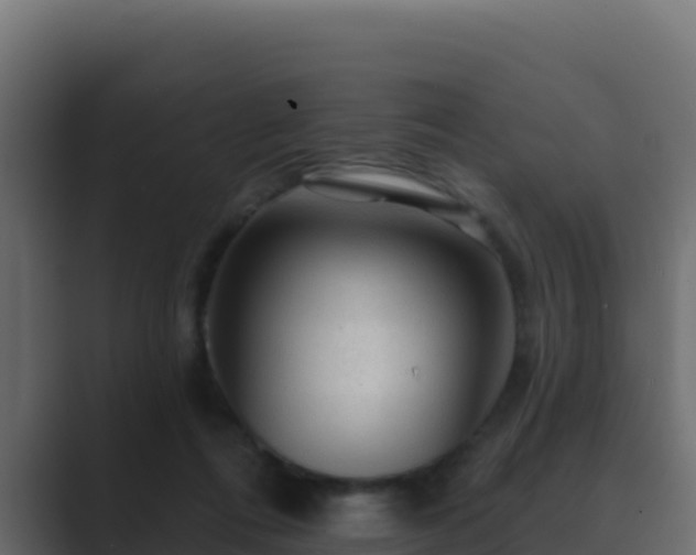 X0000089680312200706281402