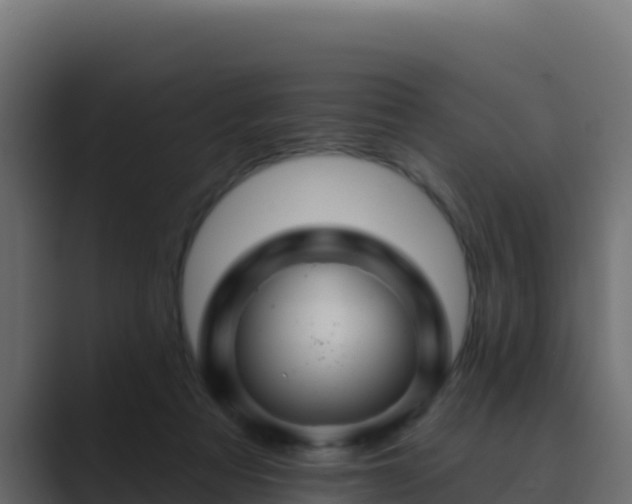 X0000089680313200706281402