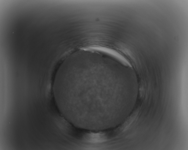 X0000089680314200706281402