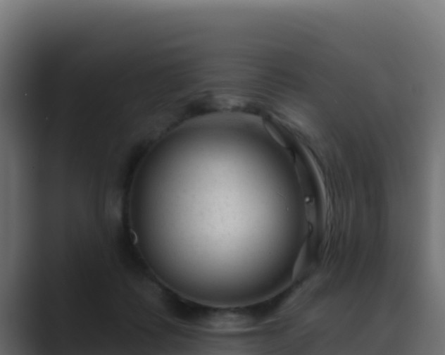 X0000089680315200706281402