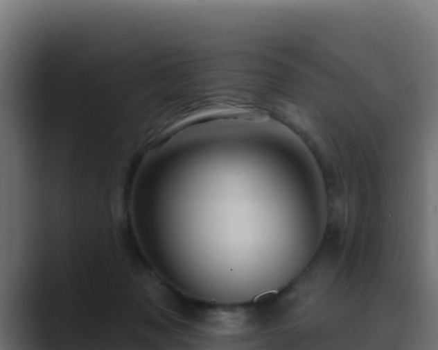 X0000089680317200706281402