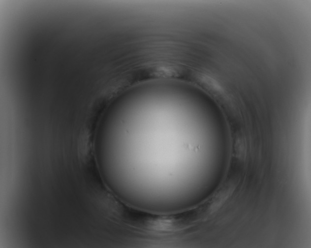 X0000089680318200706281402