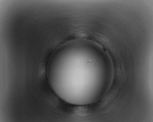 X0000089680320200706281402