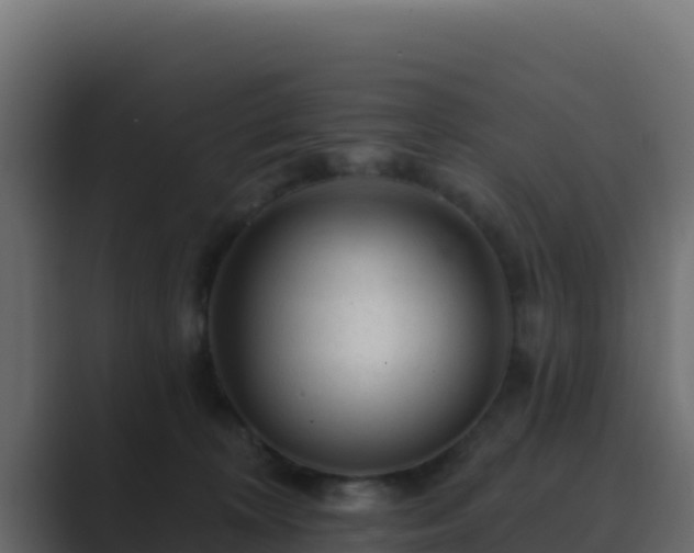X0000089680324200706281402