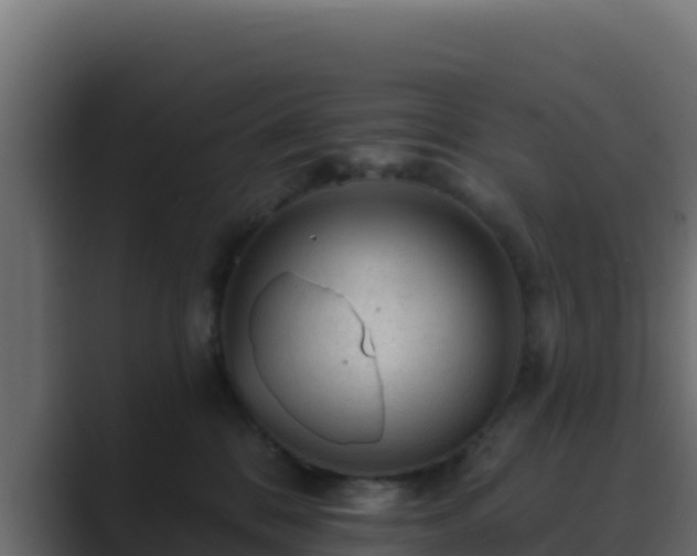 X0000089680328200706281402