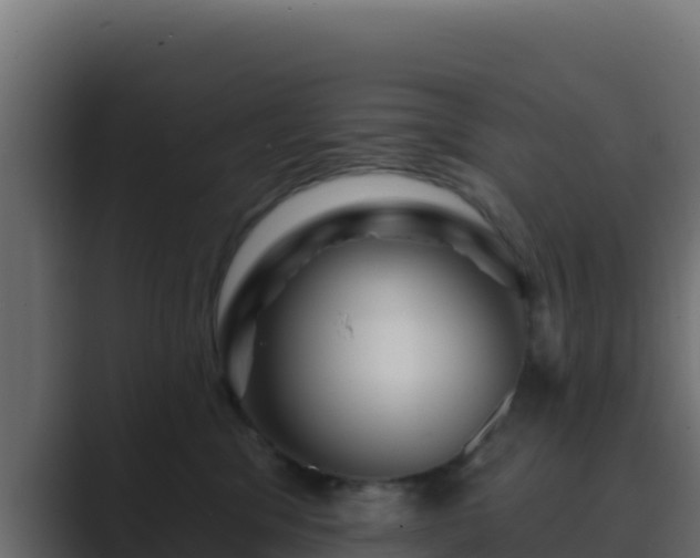 X0000089680329200706281402