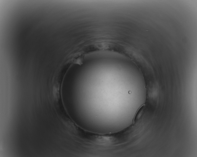 X0000089680332200706281402