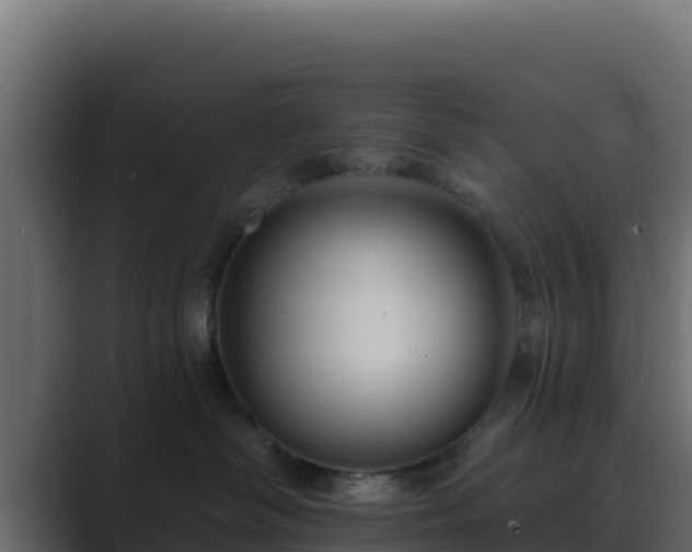 X0000089680334200706281402