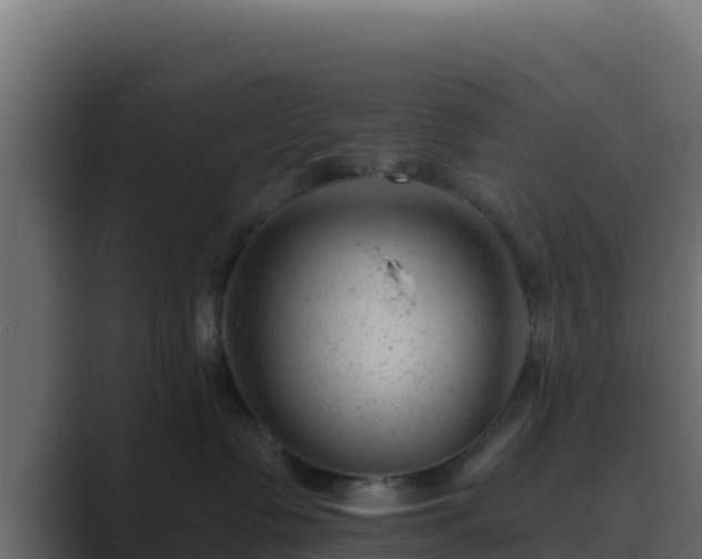 X0000089680335200706281402
