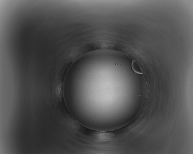 X0000089680336200706281402